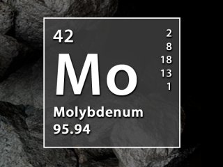 tmp459385412192829441.jpg